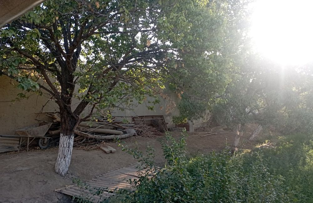 Navoiy viloyati, Karmana tumani, Yangiobod MFYda 12 sotixli  uy