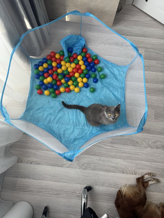 Детский сухой бассейн с шарами