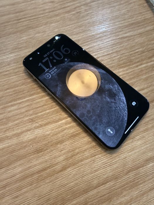 iPhone 15 Pro Max 256 GB Natural Titanium