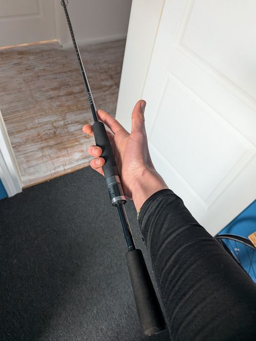 lanseta daiwa tatula