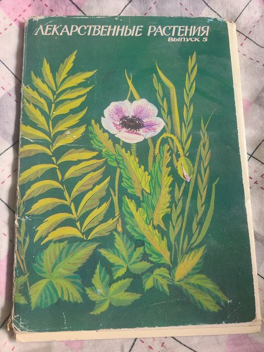 Набор открыток Лекарственные растения