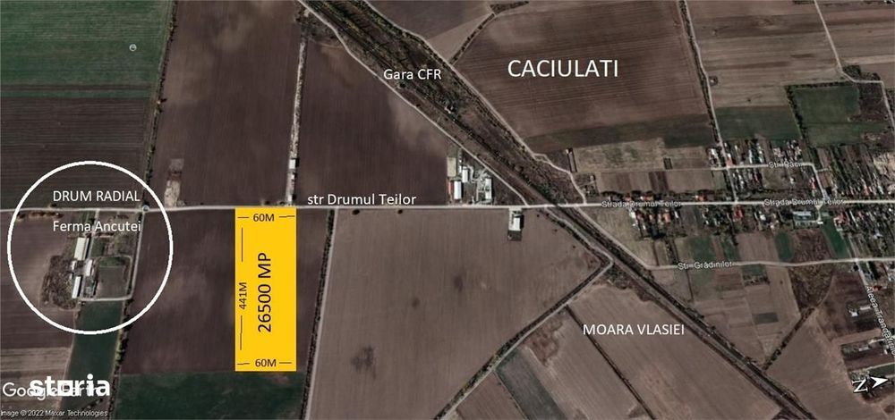 Teren intravilan 26000 mp-Moara Vlasiei,Nod A3, toate util.