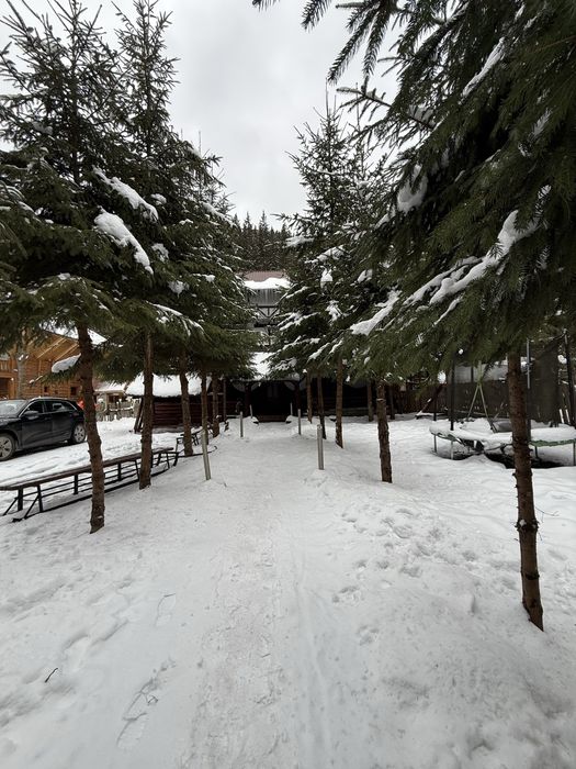 Cabana de inchiriat Comandău