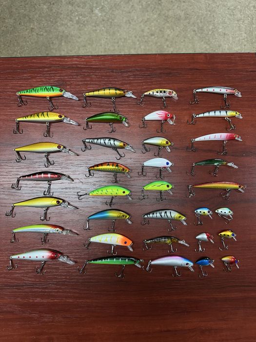 Voblere stiuca , biban