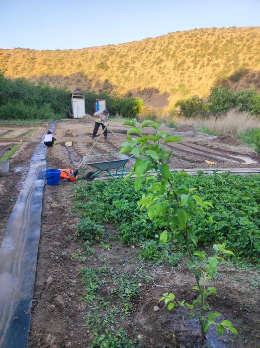 Срочно Продам Дача на Спутнике