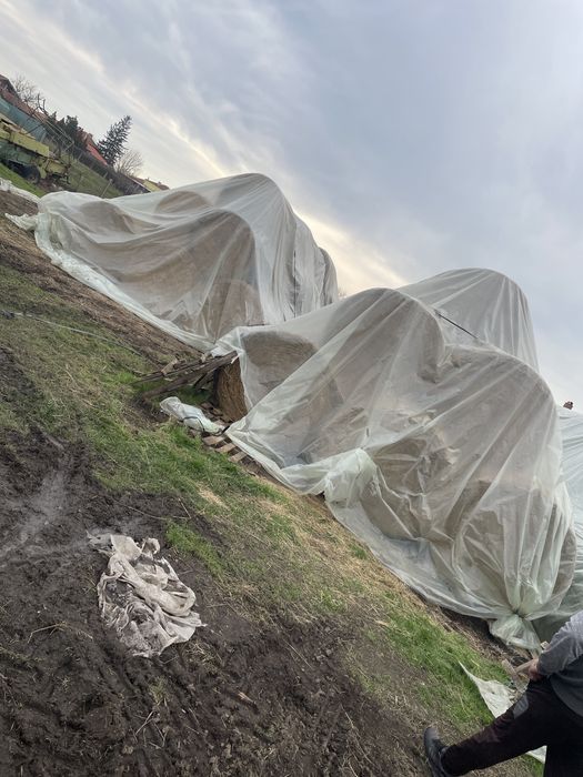 Бали люцерна и сено