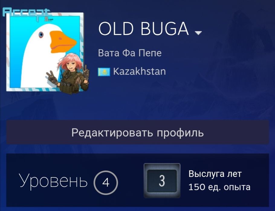 СРОЧНО!! АККАУНТ CS2 Прайм статус + Фэйсит