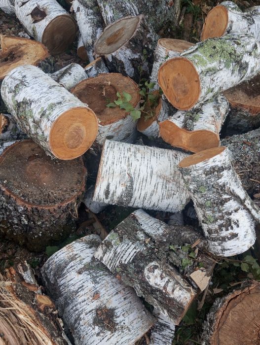 Продам колотые дрова в мешках