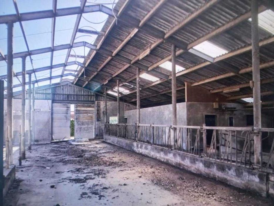 Hala -Structura  galvanizata import Olanda 525mp