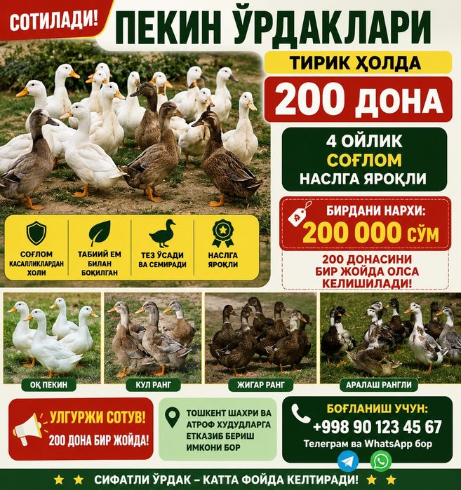 Пекин урдаклари,