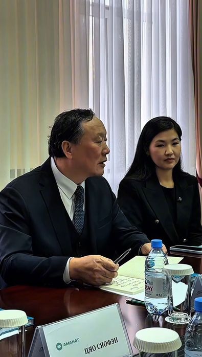 Переводчик китайского языка