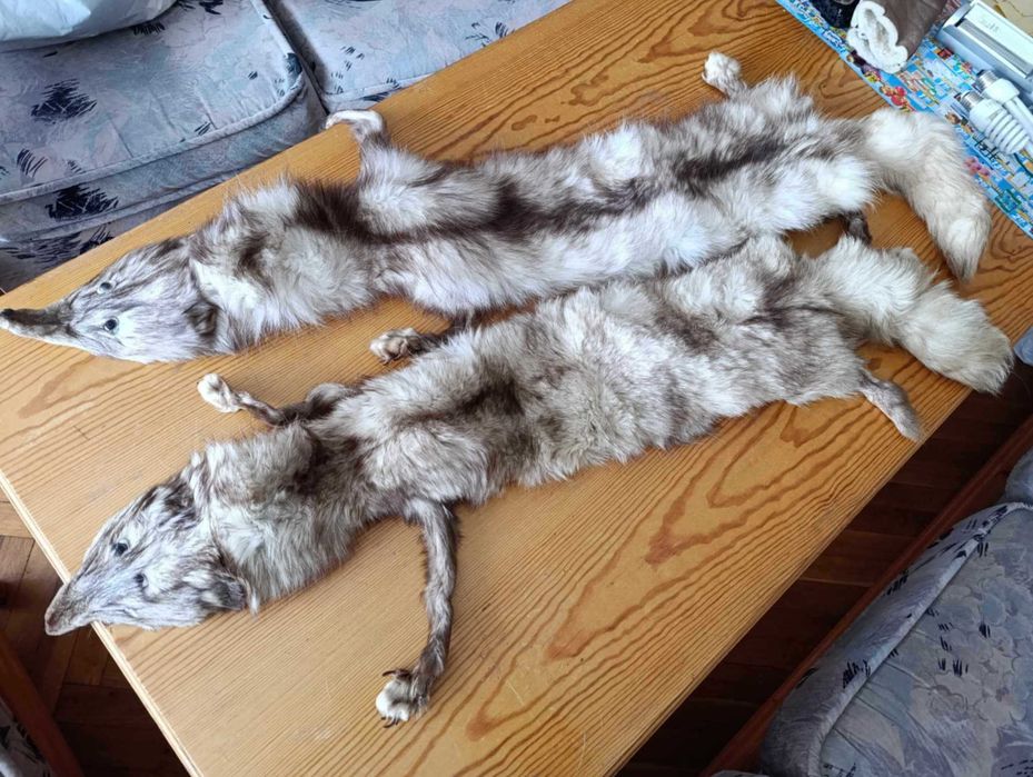 Кожени изделия от лисица и астраган