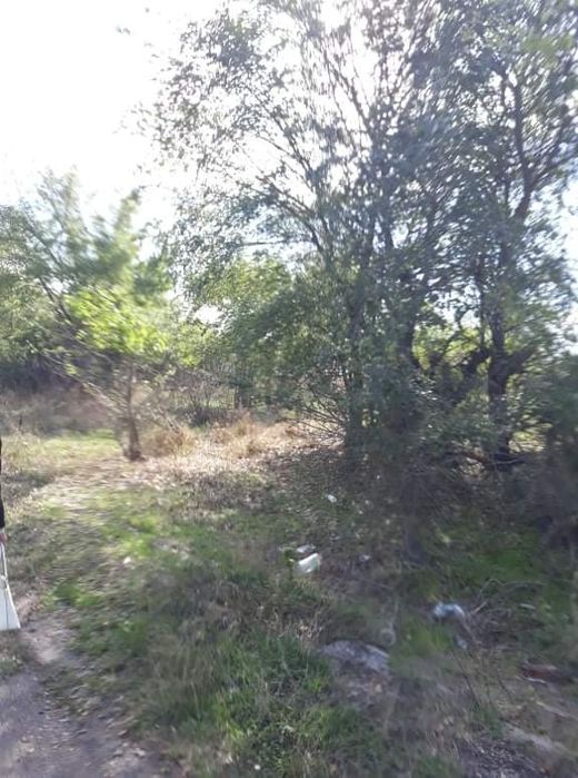 Продава се Парцел в с. Бояново, Област Ямбол - 755 кв.м за 5 €/кв.м - Снимка #1