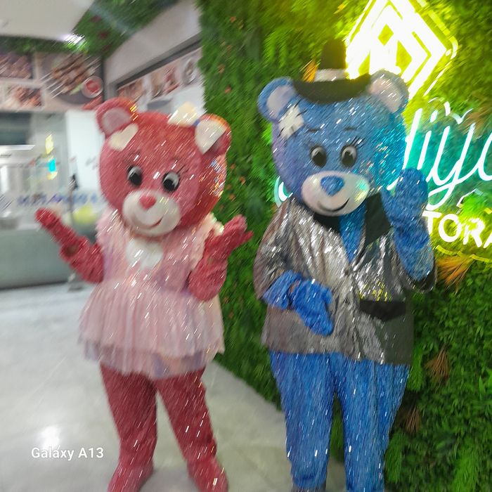 Айиклар хизмати. Аниматор хизмати.