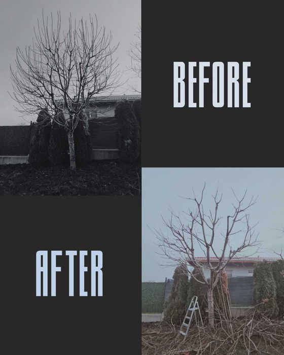 Арборист - Стара Загора