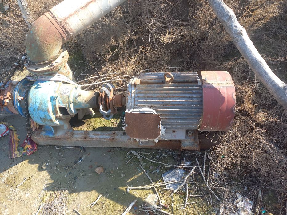 Elktira suv Naso‘si  sotiladi Matorham Adelni  sotiladi  Arzon narxda