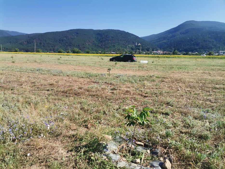 Продава се Парцел в Крън - 9800 кв.м за 3 €/кв.м - Снимка #2