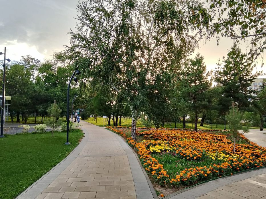 Сдам 1комн. квартиру Аль Фараби-Навои