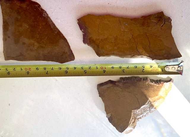 agate GRASSY Mountain Oregon, lemn pietrificat, nuanța portocaliu ars