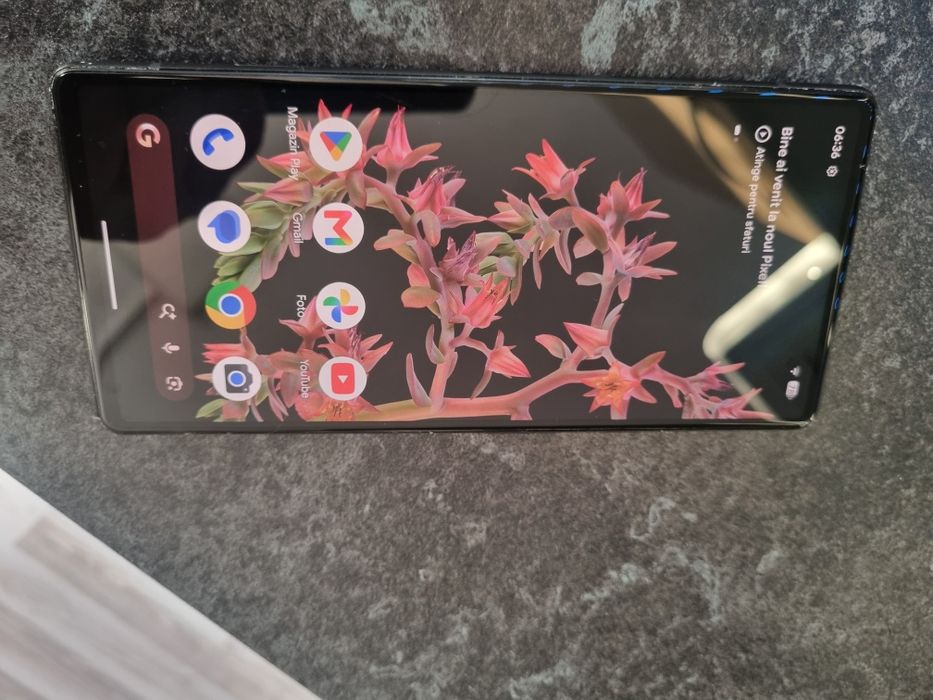 Google pixel 6  8GB ram