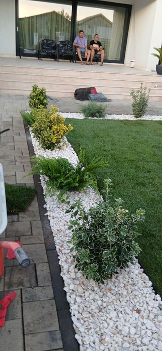 Gazon rulou  sistem de irigații cu automatizare semințe de  gazon