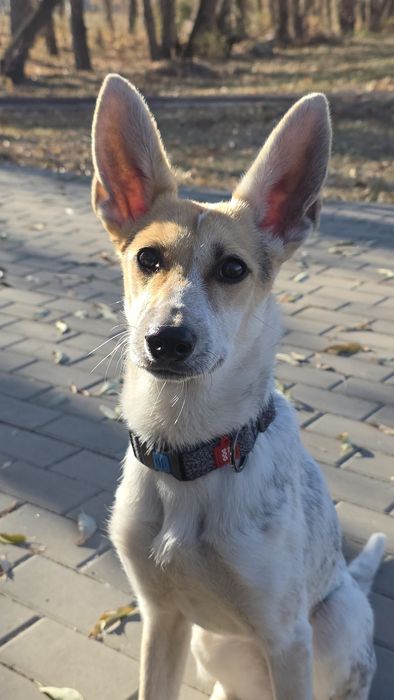 Отличная смесь, девочка 8 месяцев