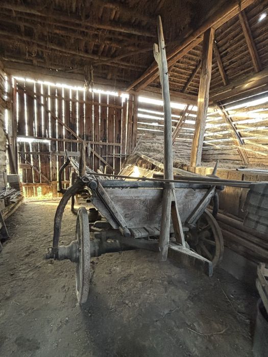 Decorațiune de căruța