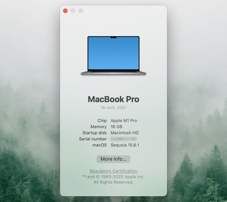 MacBook Pro 16" (2021) • M1 Pro • 16 GB