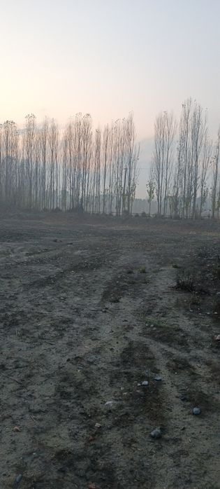 Noturar yer sotiladi