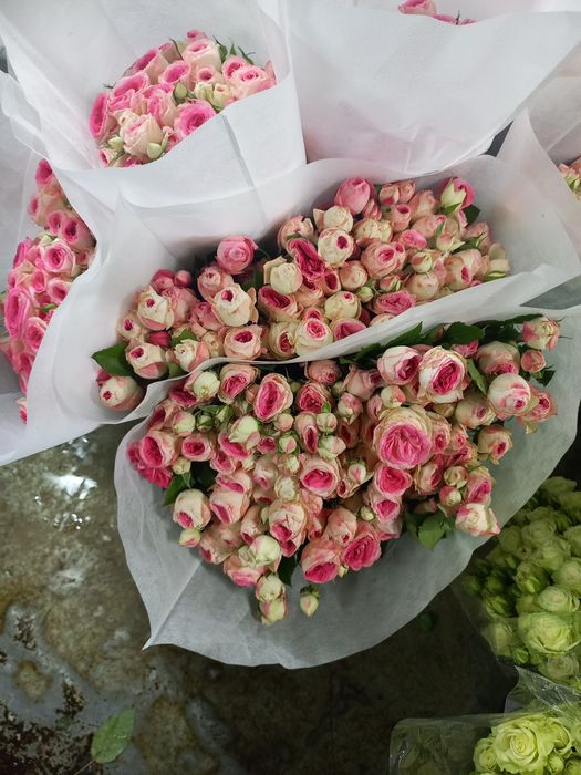 Китайская роза 10 веточек