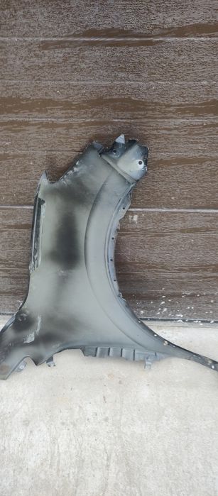 Aripa stângă fata kadjar