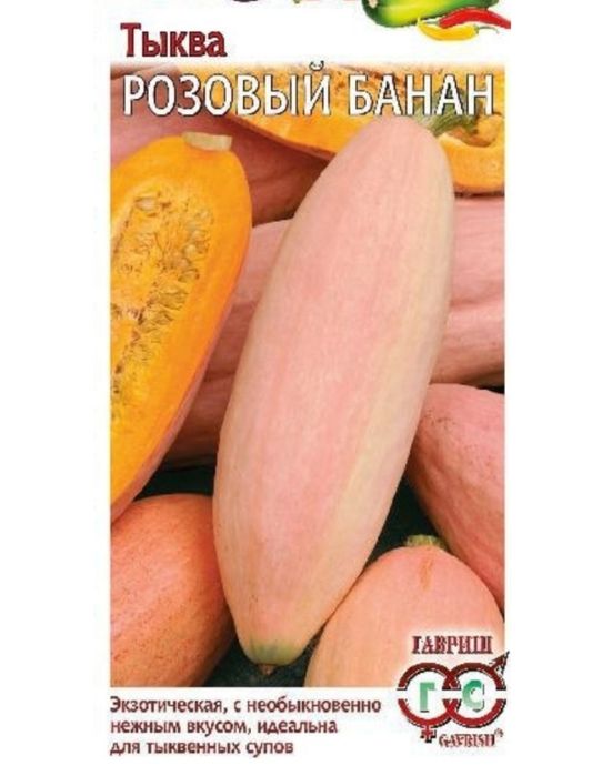 Тыква местная дачная