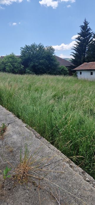 Продава се Парцел в с. Плана, Област София-град - 1000 кв.м за 70 €/кв.м - Снимка #2