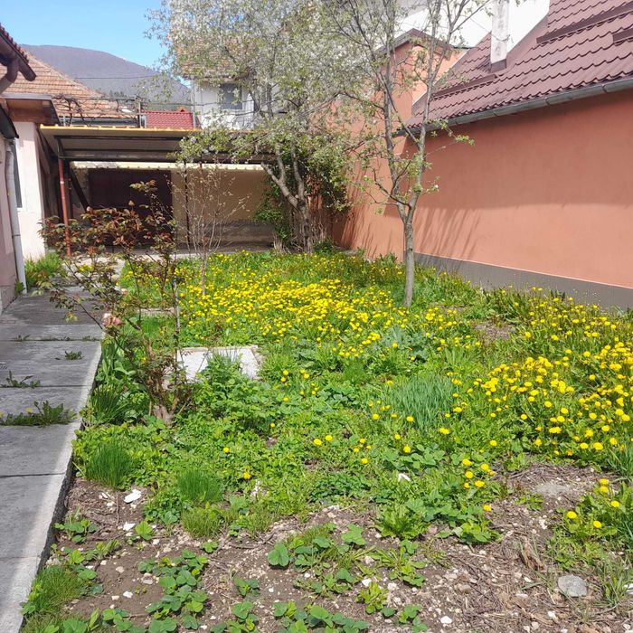 Vand casa Codlea