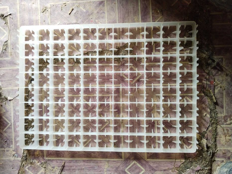 Инкубатор для яйца