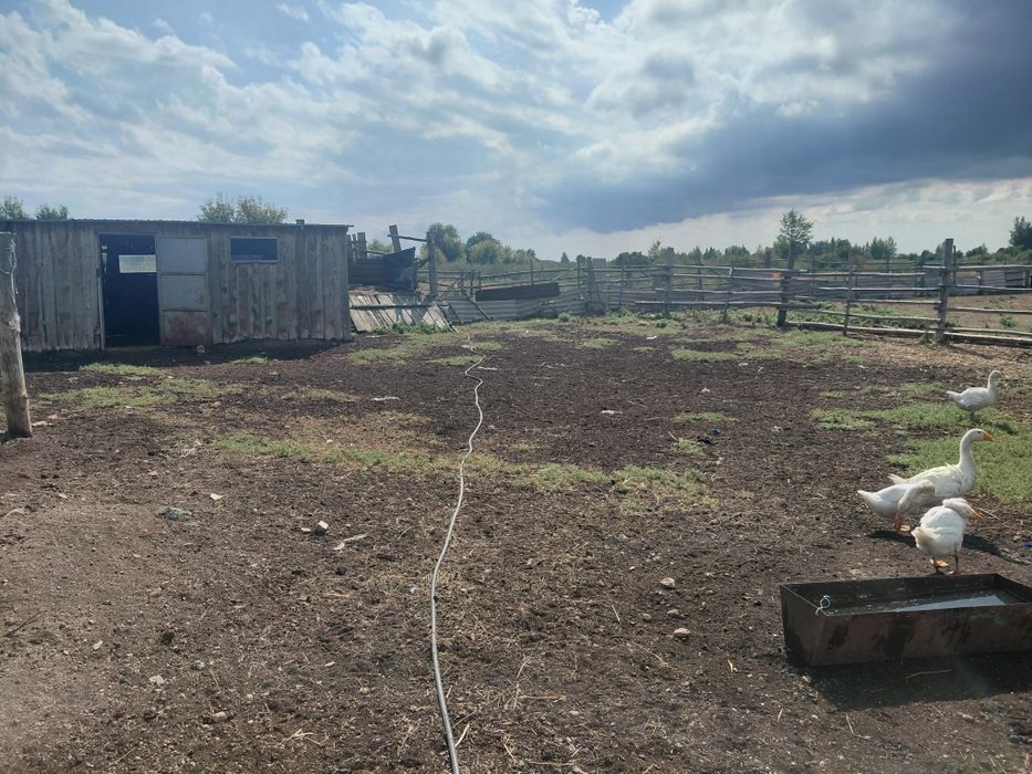 Продам дом село Табигат 100км от города