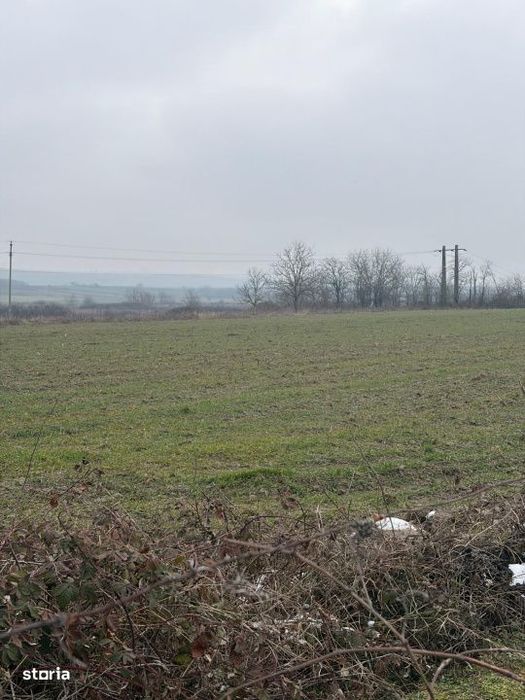 Teren de 9000mp, la intrarea in Filiasi ,la 300m de str. Racoteanu