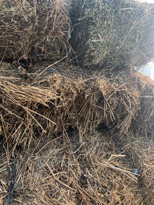 Vînd baloti de paie si lucernă