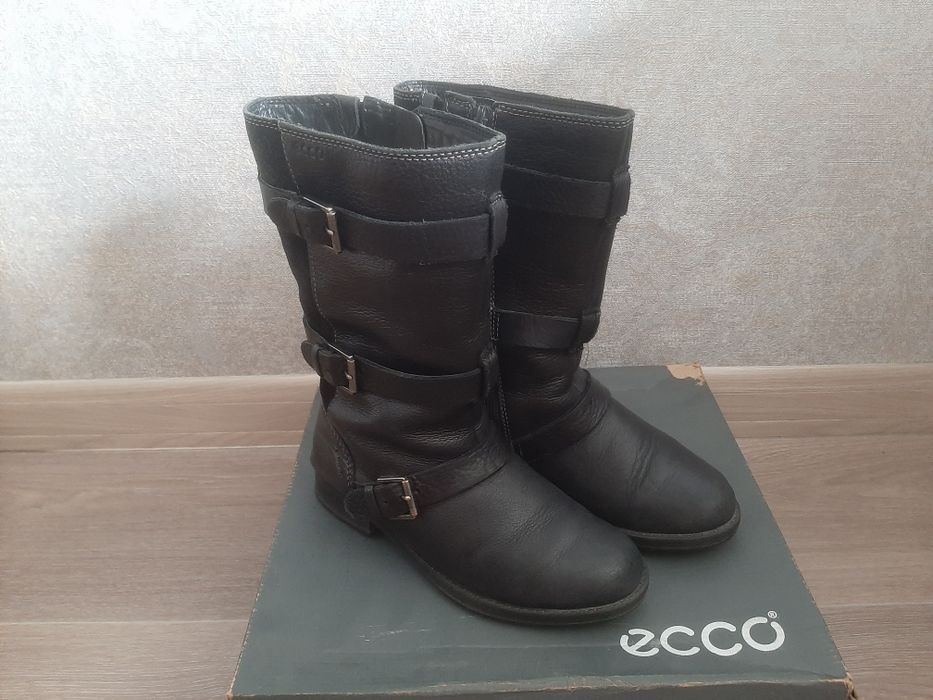 Зимние сапожки ecco