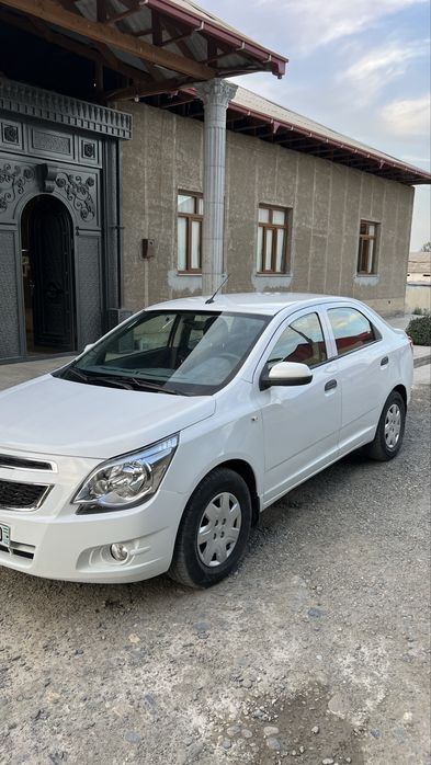 2019 Moshina bir qoʻl egadan