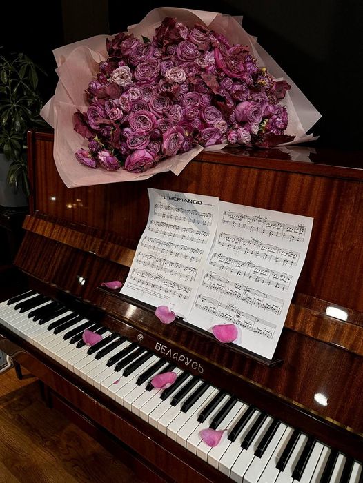 Уроки Скрипки и Фортепиано Ташкент.