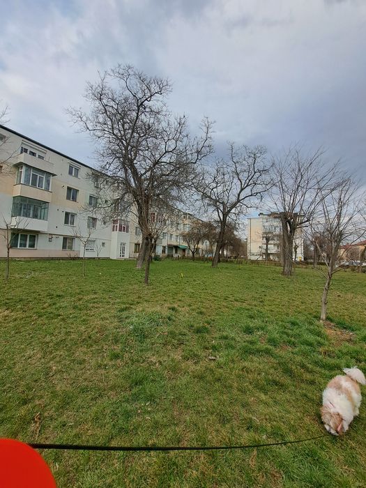 Apartament 3 camere bulevardul oituz  Onesti