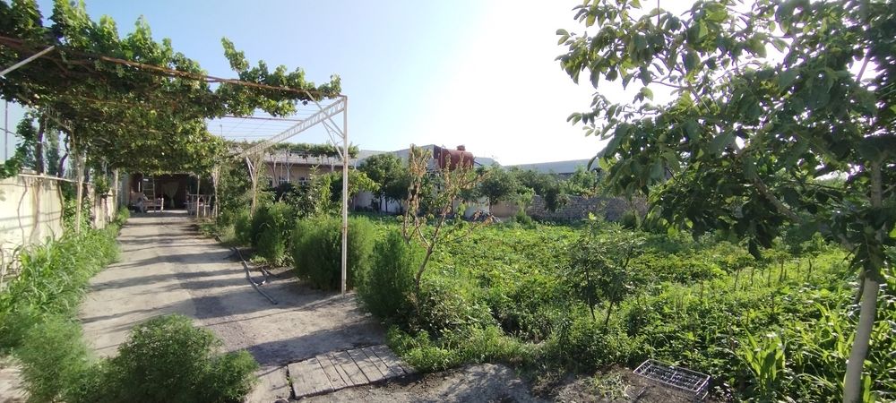 Qo'qon Shahar Qora Tepa 16