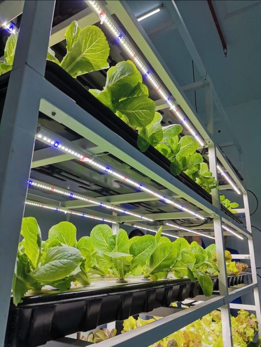 Фитосветильник 320W Для Теплицы И Домашнего Выращивания, ДЛЯ ЛЮБЫХ РАС