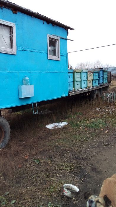 Прицеп пчеловодческий