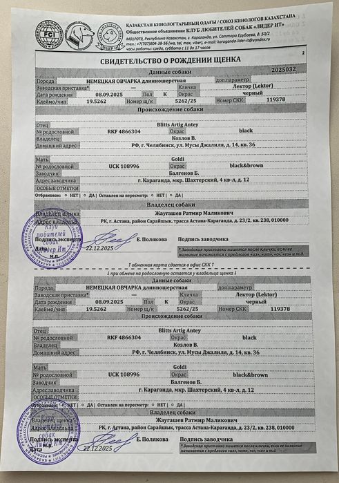 Продам щенка немецкой