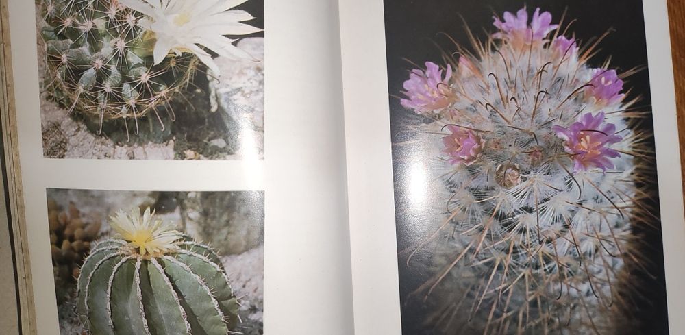 Книги о кактусах и садовых цветах