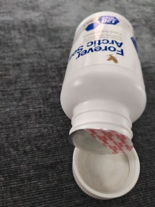 Forever Arctic Sea Omega