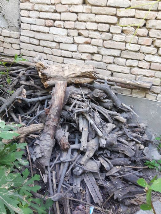 Продаются дрова черешня,урюк