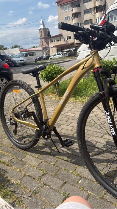 Bicicleta silvis